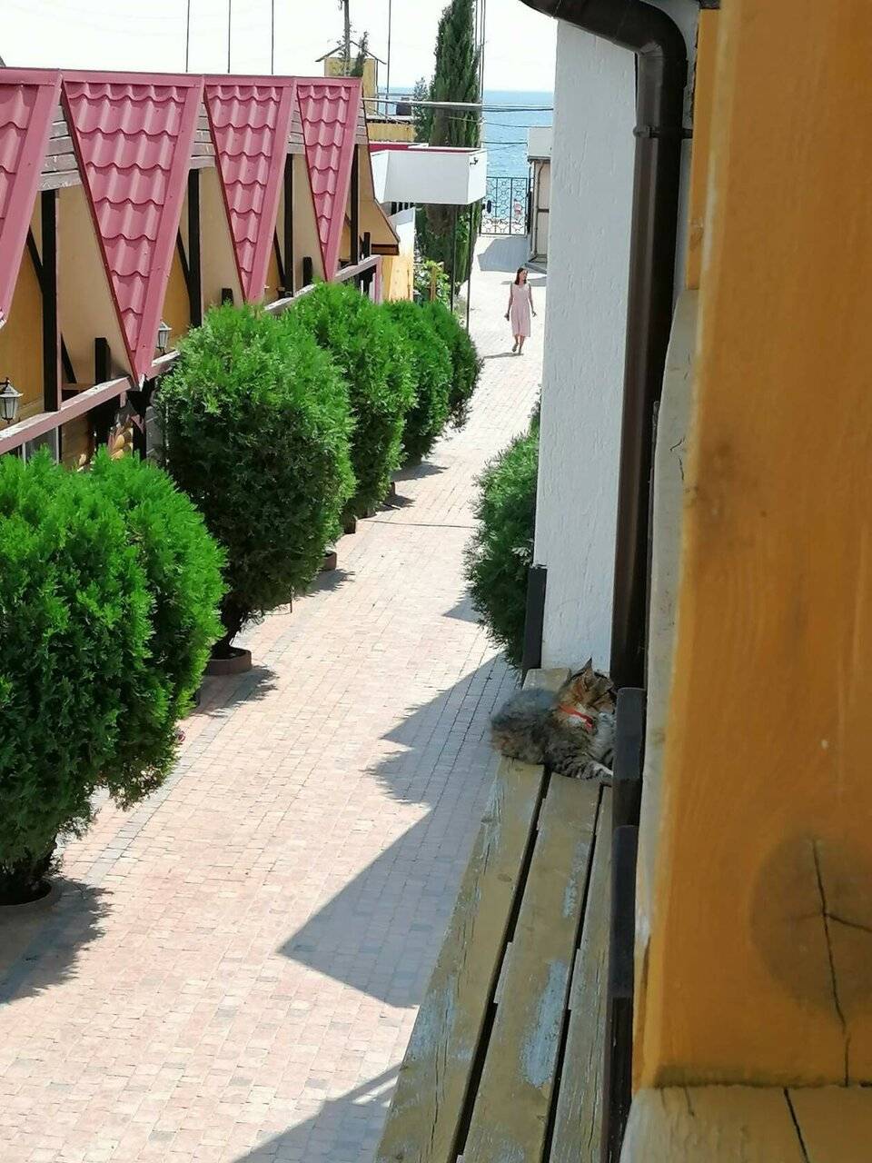 Фото Гостевого дома Калипсо Коктебель 37