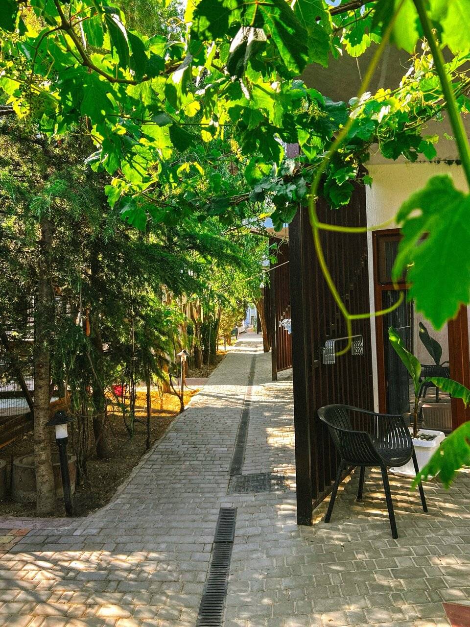 Фото Гостевого дома Калипсо Коктебель 5