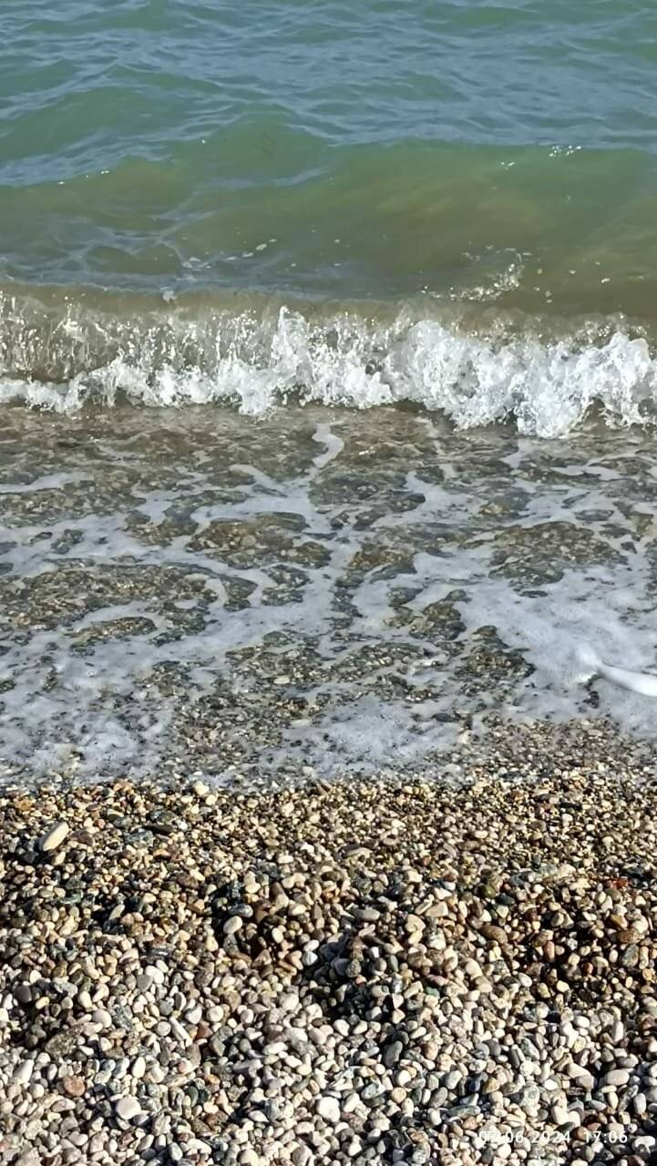 Фото Гостевого дома Калипсо Коктебель 96