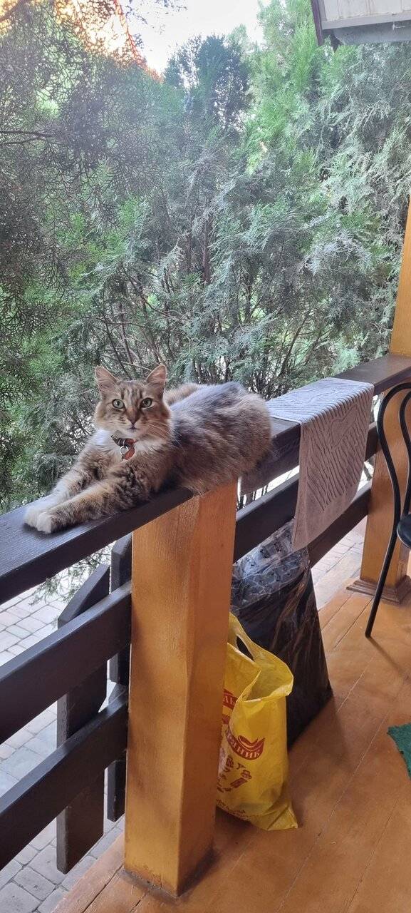 Фото Гостевого дома Калипсо Коктебель 132