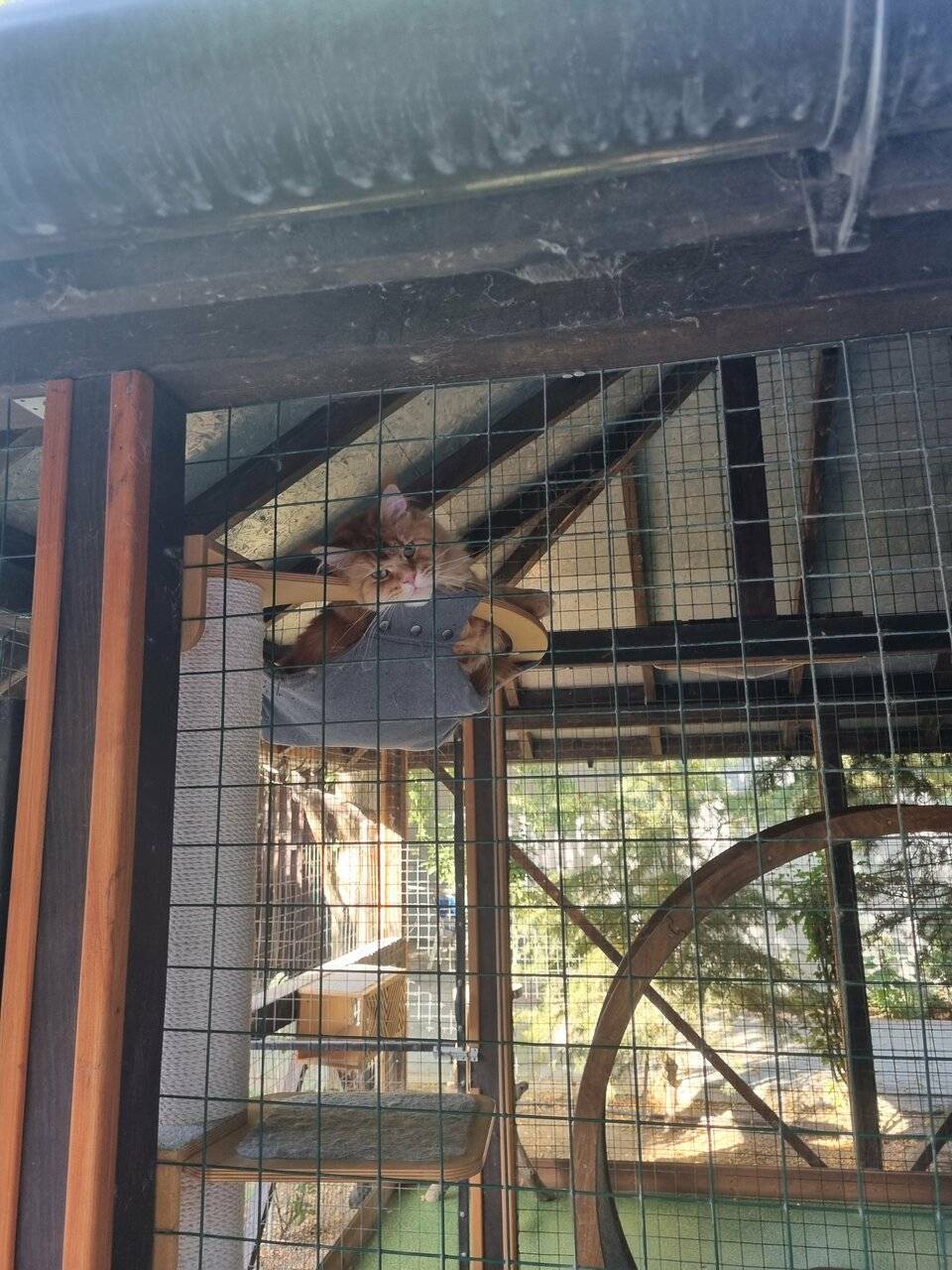 Фото Гостевого дома Калипсо Коктебель 131