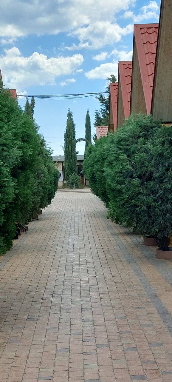 Фото Гостевого дома Калипсо Коктебель 47